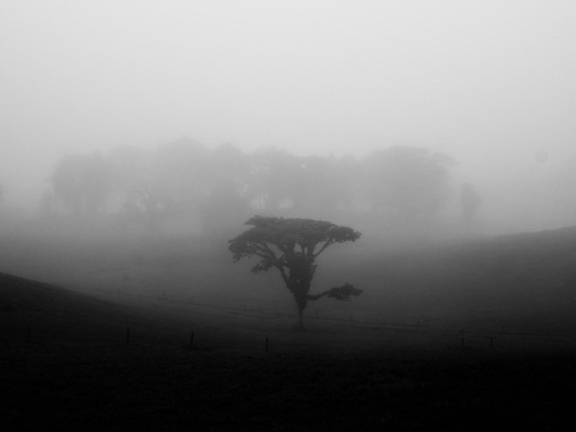 How to Find Out If Your Photos Are Being Used Without Permission header image